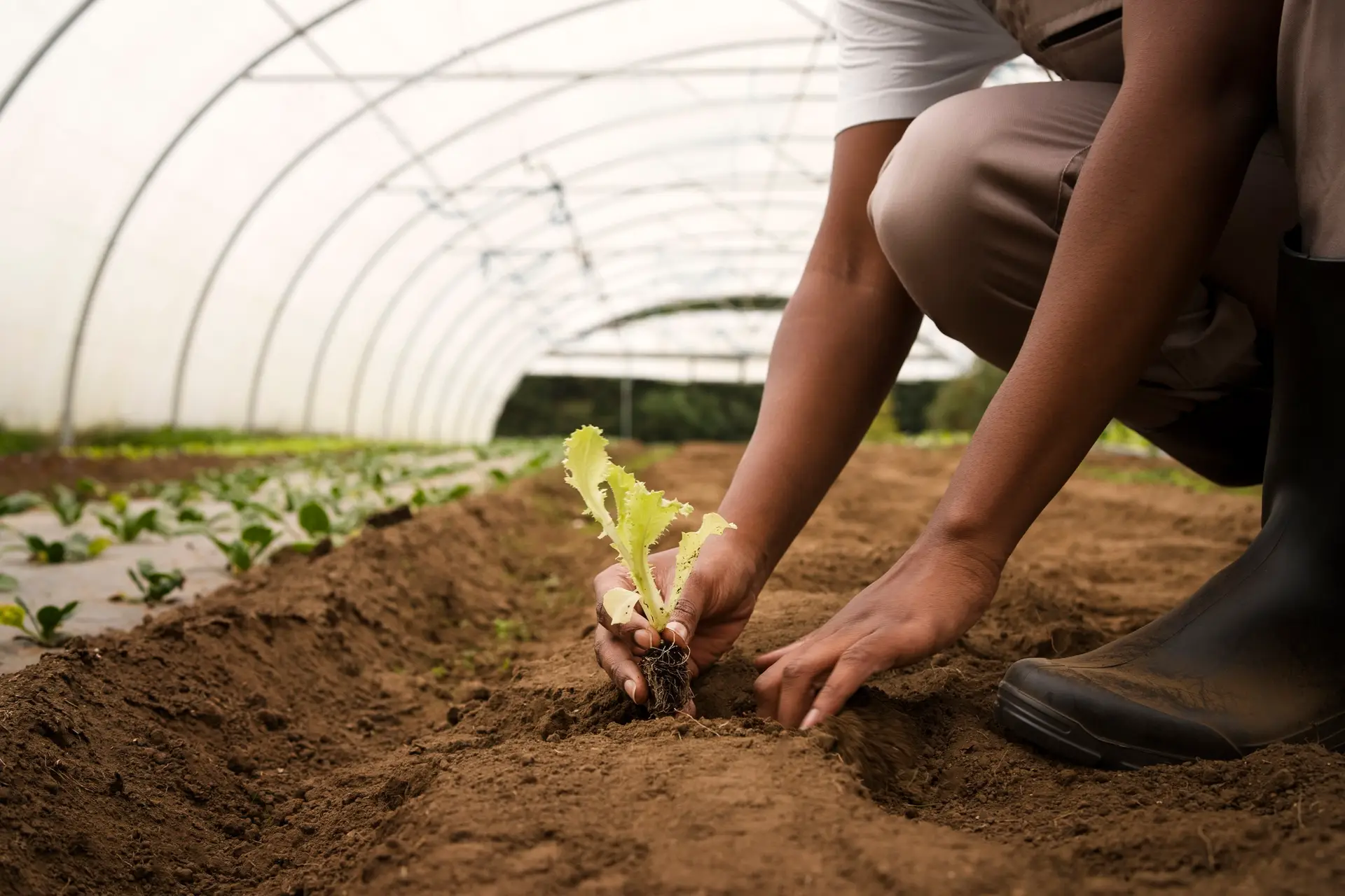 Agroécologie et environnement pour renforcer sécurité alimentaire et résilience