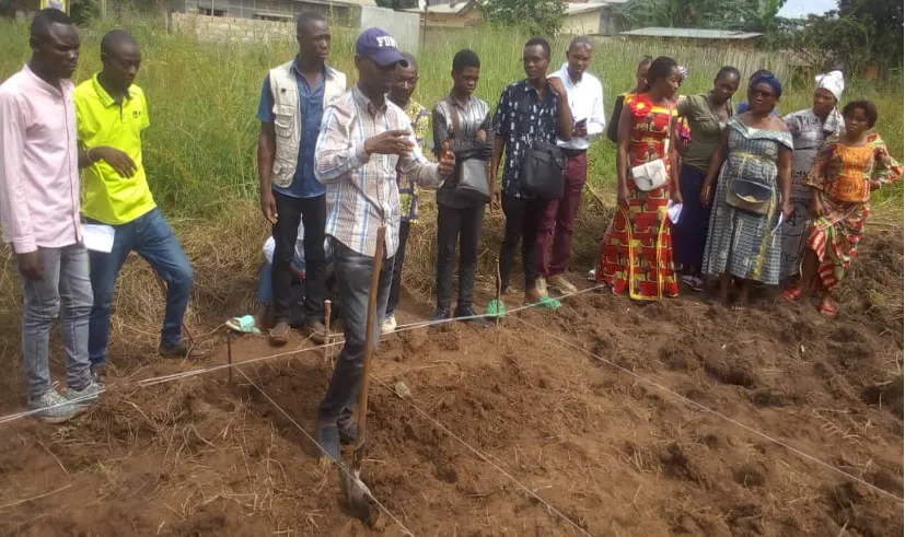 Développement rural et Relèvement communautaire