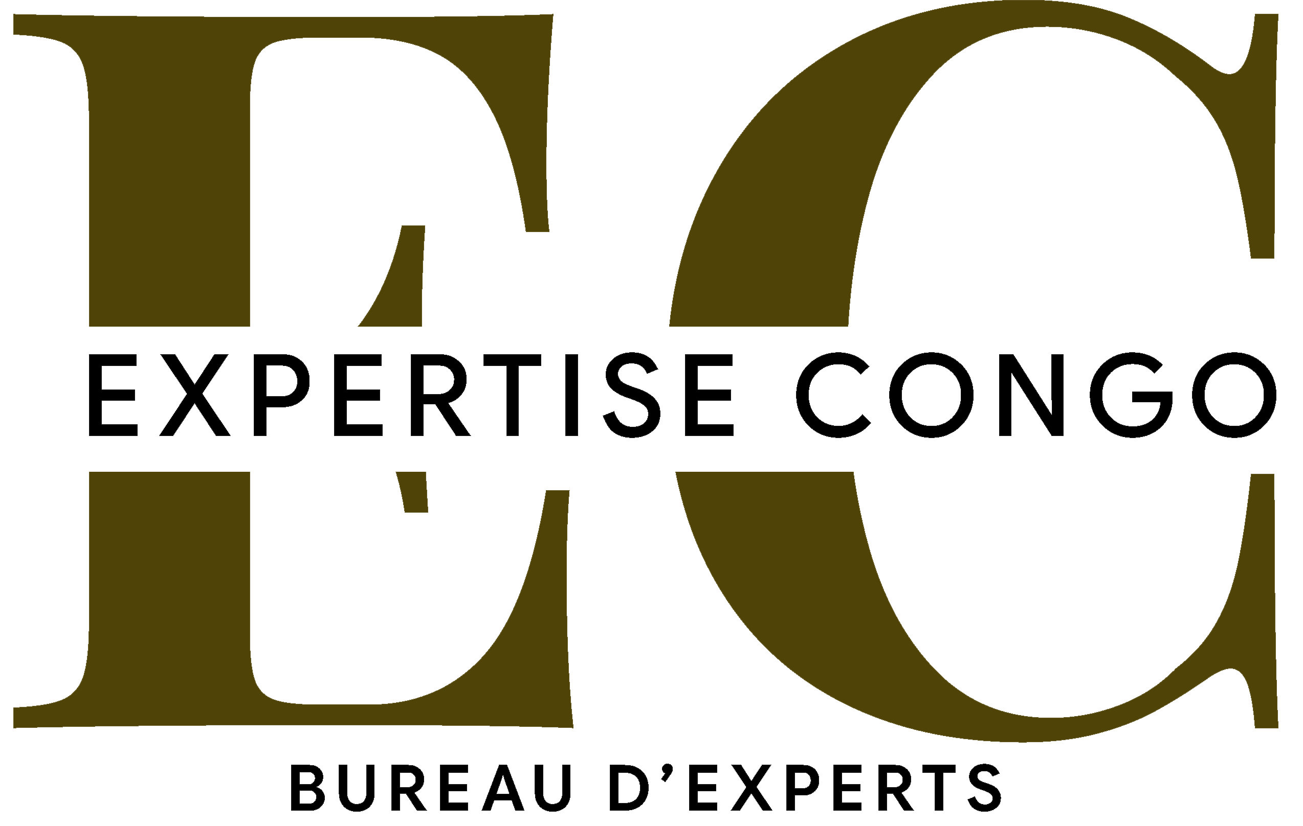 Expertise Congo