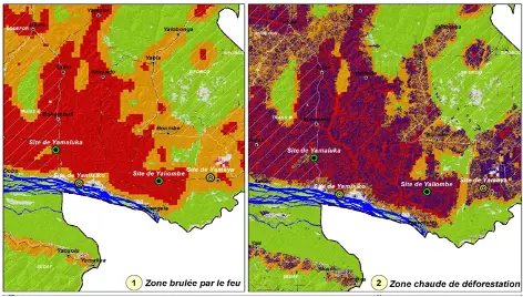 Cartographie Thématique et Aménagement du Territoire. Expertise Congo